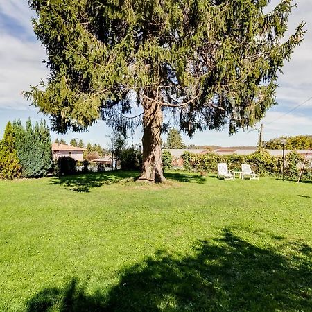 Le Tamerici Rocca Di Papa Exteriör bild